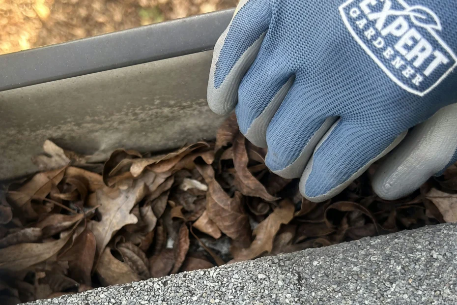 Gutter Cleaning Fort Washington